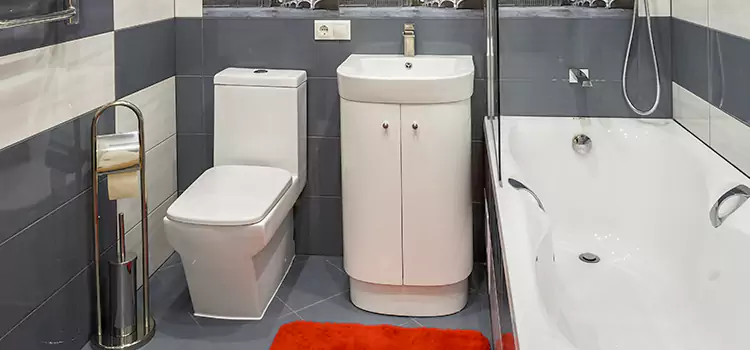 Hansgrohe Shaving Mirror Leawood