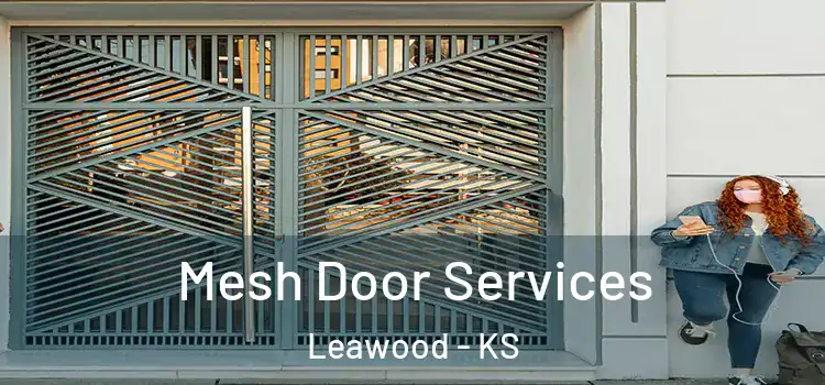 Mesh Door Services Leawood - KS